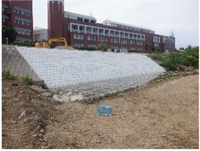 河川改修（水辺）工事（入間川護岸修繕工）